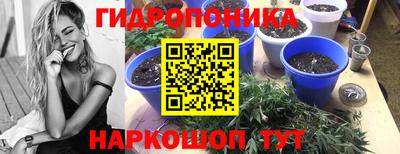 прущий лед Будённовск