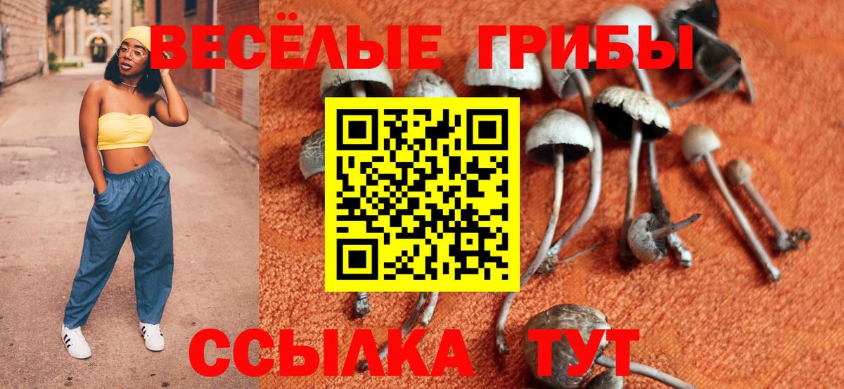 Галлюциногенные грибы мухоморы Первоуральск